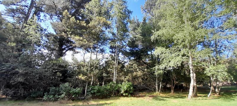 0 Bedroom Property for Sale in Hogsback Eastern Cape